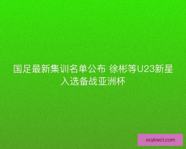 国足最新集训名单公布 徐彬等U23新星入选备战亚洲杯