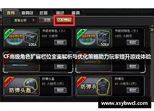 CF高级角色扩展栏位全面解析与优化策略助力玩家提升游戏体验