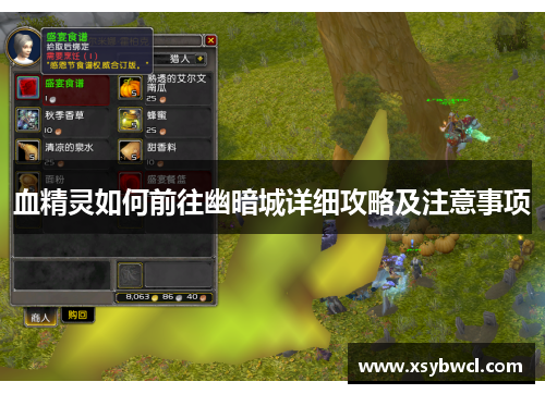 血精灵如何前往幽暗城详细攻略及注意事项